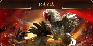 Hướng Dẫn Chơi Đá Gà GA28 Tại 78Win Chắc Thắng Mọi Kèo