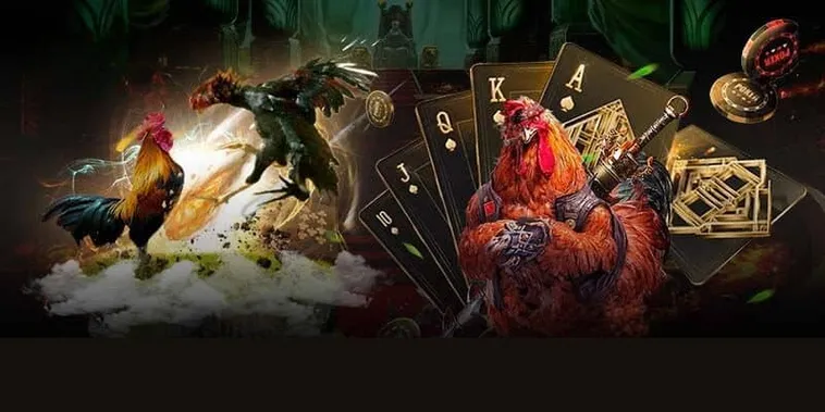 Hướng Dẫn Chơi Đá Gà GA28 Tại 78Win Chắc Thắng Mọi Kèo